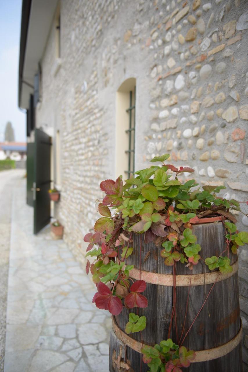 Ca' Premuda Locazione Turistica Codognè Exterior foto